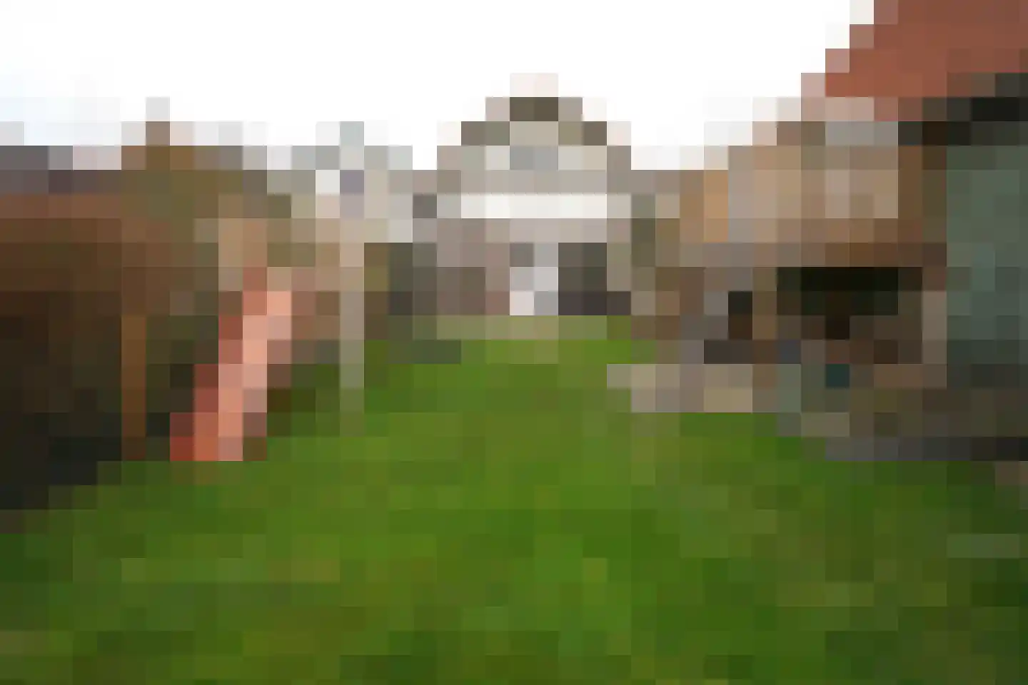 Voorstraat 56 Groede thumbnail 36