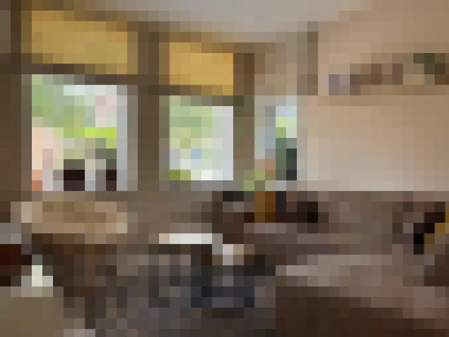 Voorstraat 56 Groede thumbnail 4