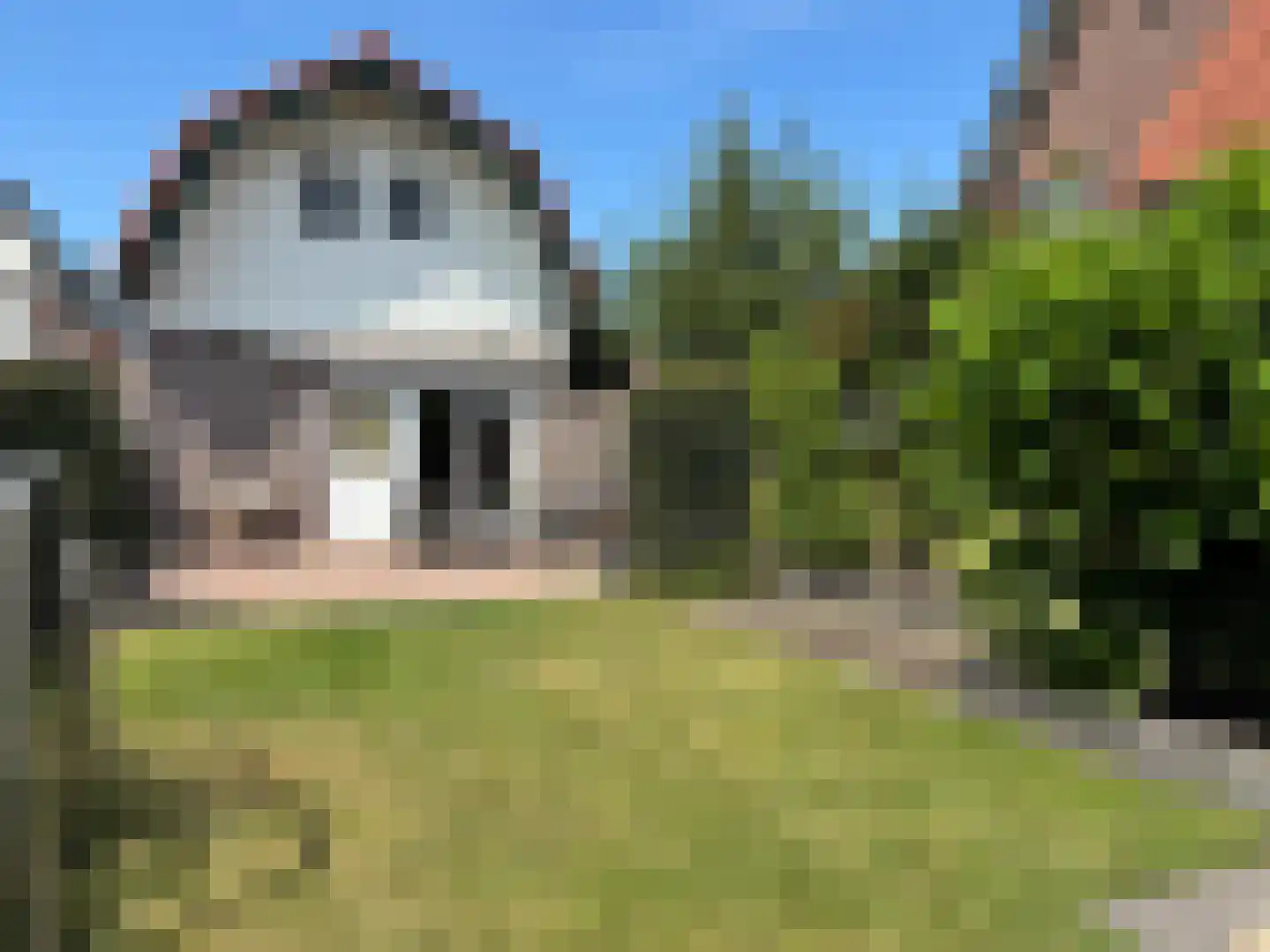 Voorstraat 56 Groede thumbnail 42