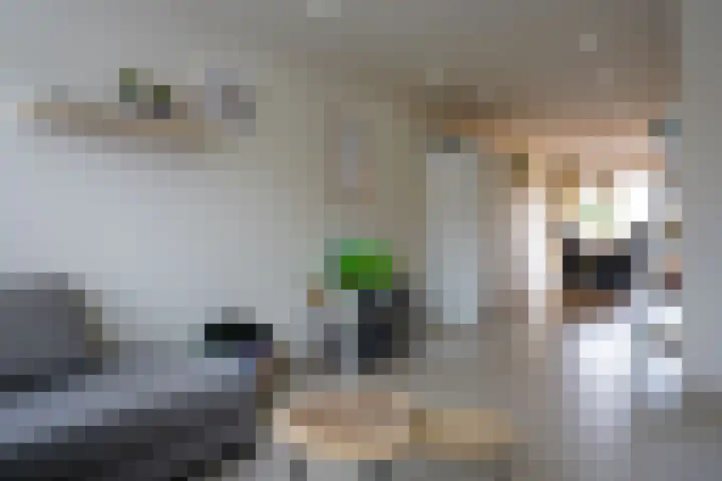 Voorstraat 56 Groede thumbnail 7