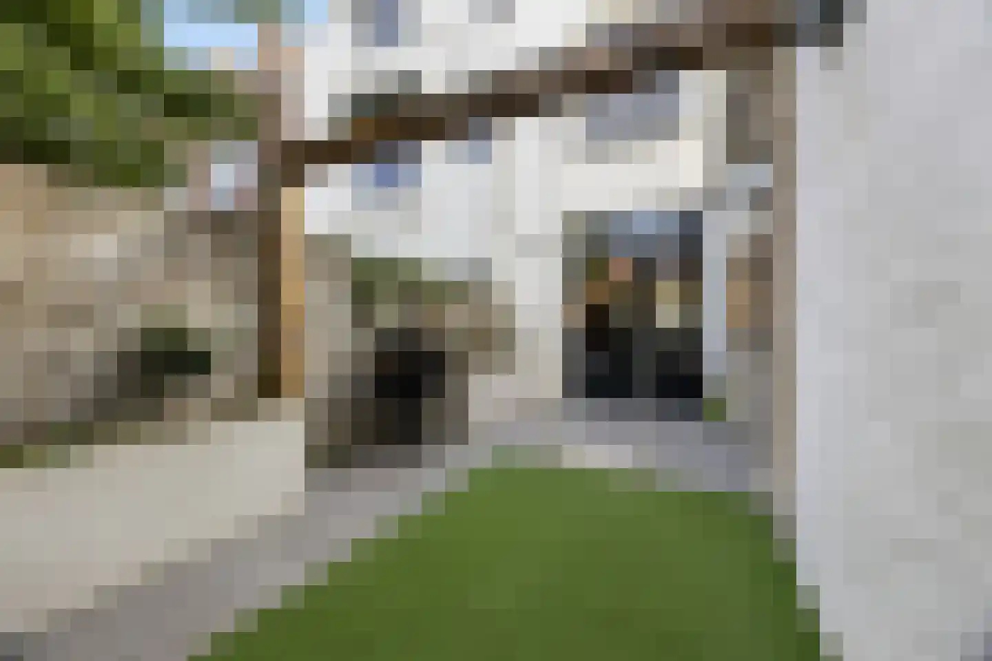 Voorstraat 57 Brielle thumbnail 21