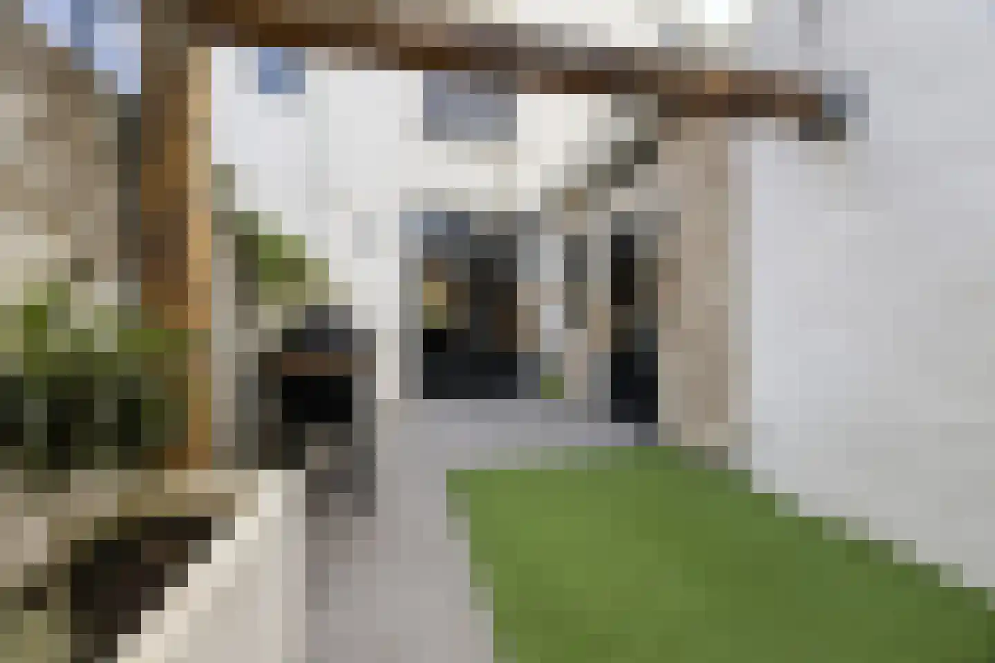 Voorstraat 57 Brielle thumbnail 22