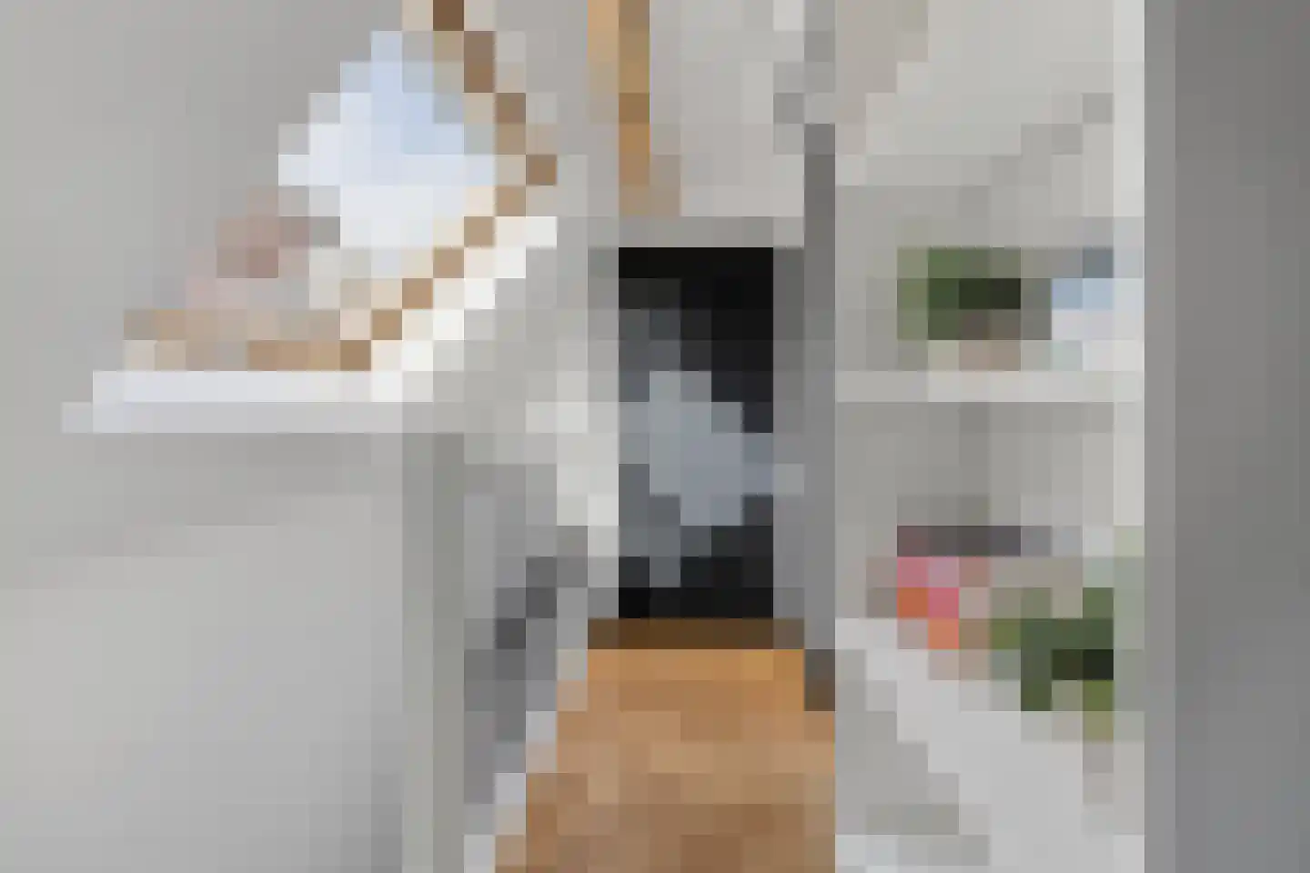 Voorstraat 57 Brielle thumbnail 36