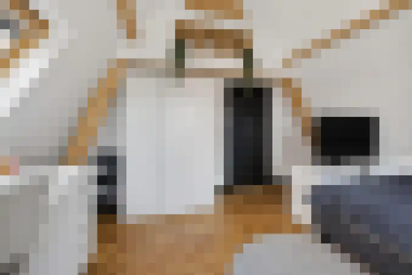 Voorstraat 57 Brielle thumbnail 39