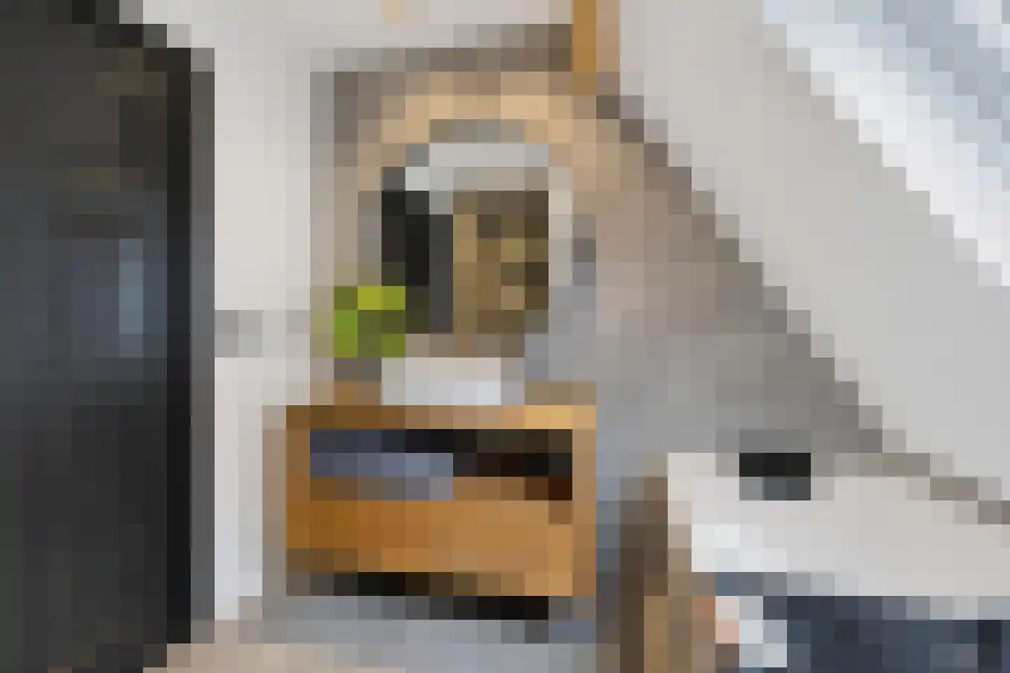 Voorstraat 57 Brielle thumbnail 44