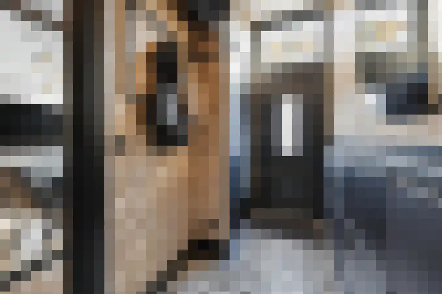 Voorstraat 57 Brielle thumbnail 7