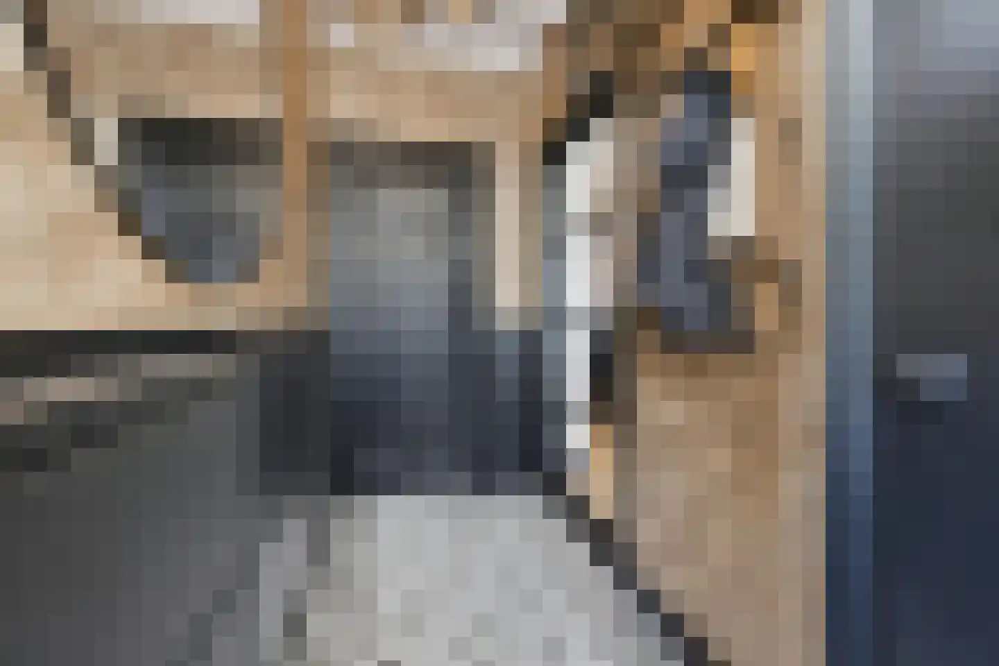 Voorstraat 57 Brielle thumbnail 8