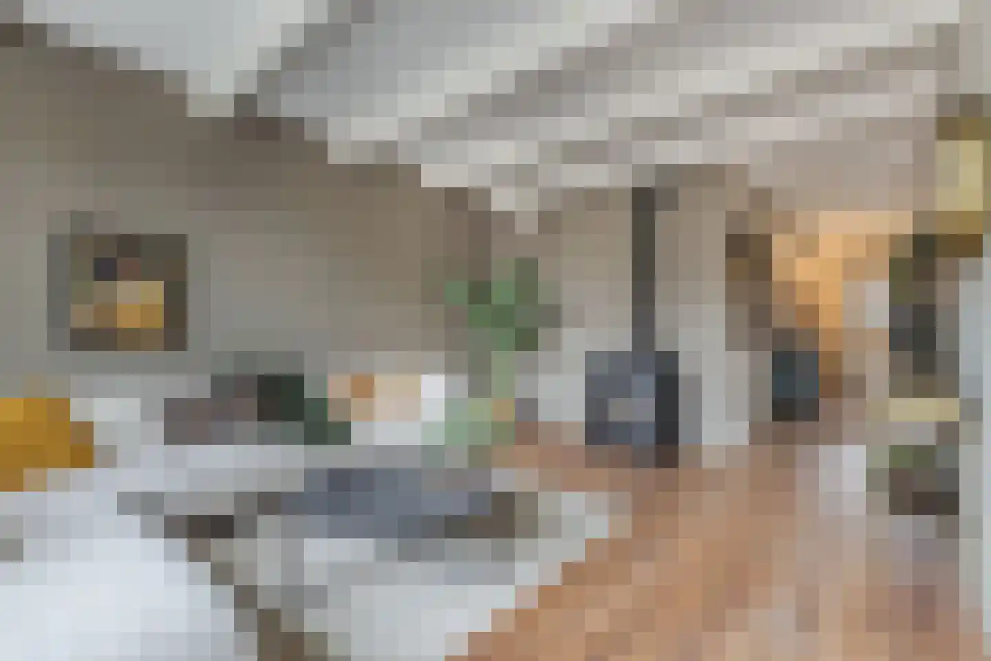 Voorstraat 57 Franeker thumbnail 17