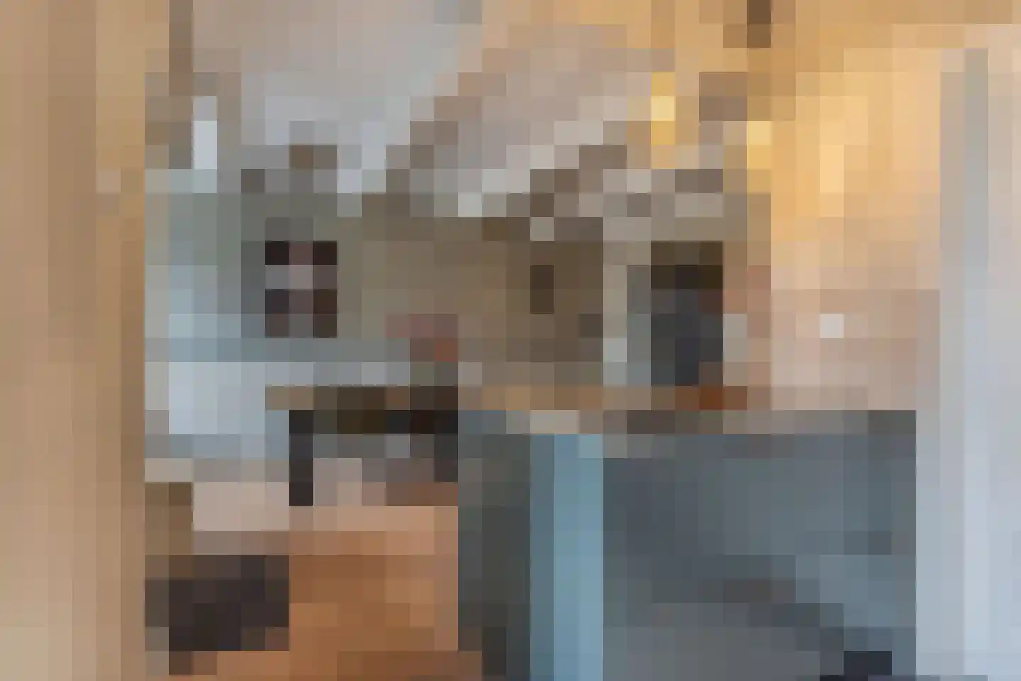 Voorstraat 57 Franeker thumbnail 31
