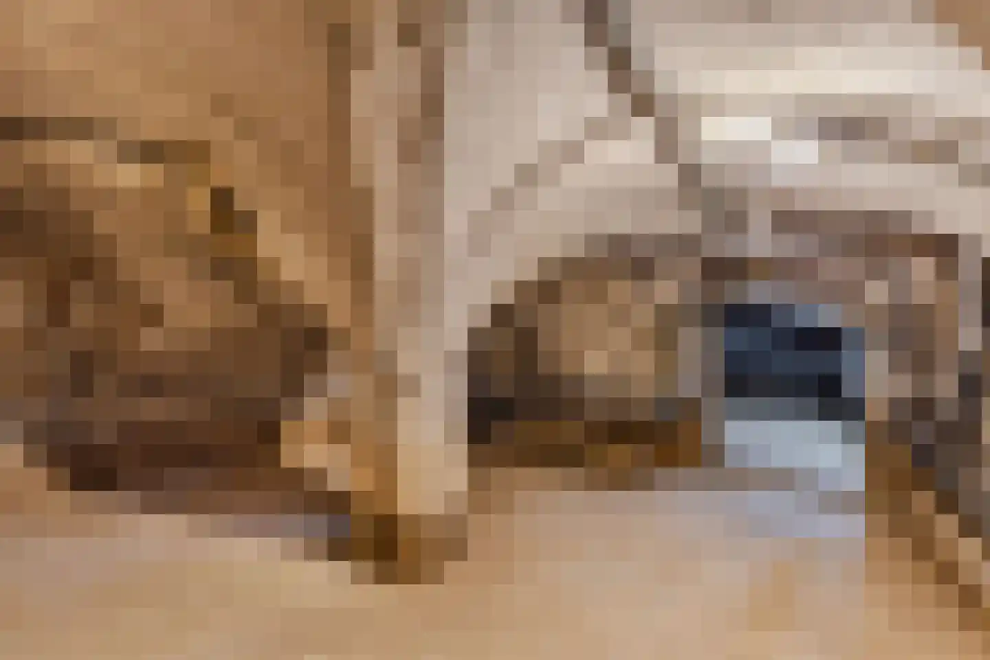 Voorstraat 57 Franeker thumbnail 33