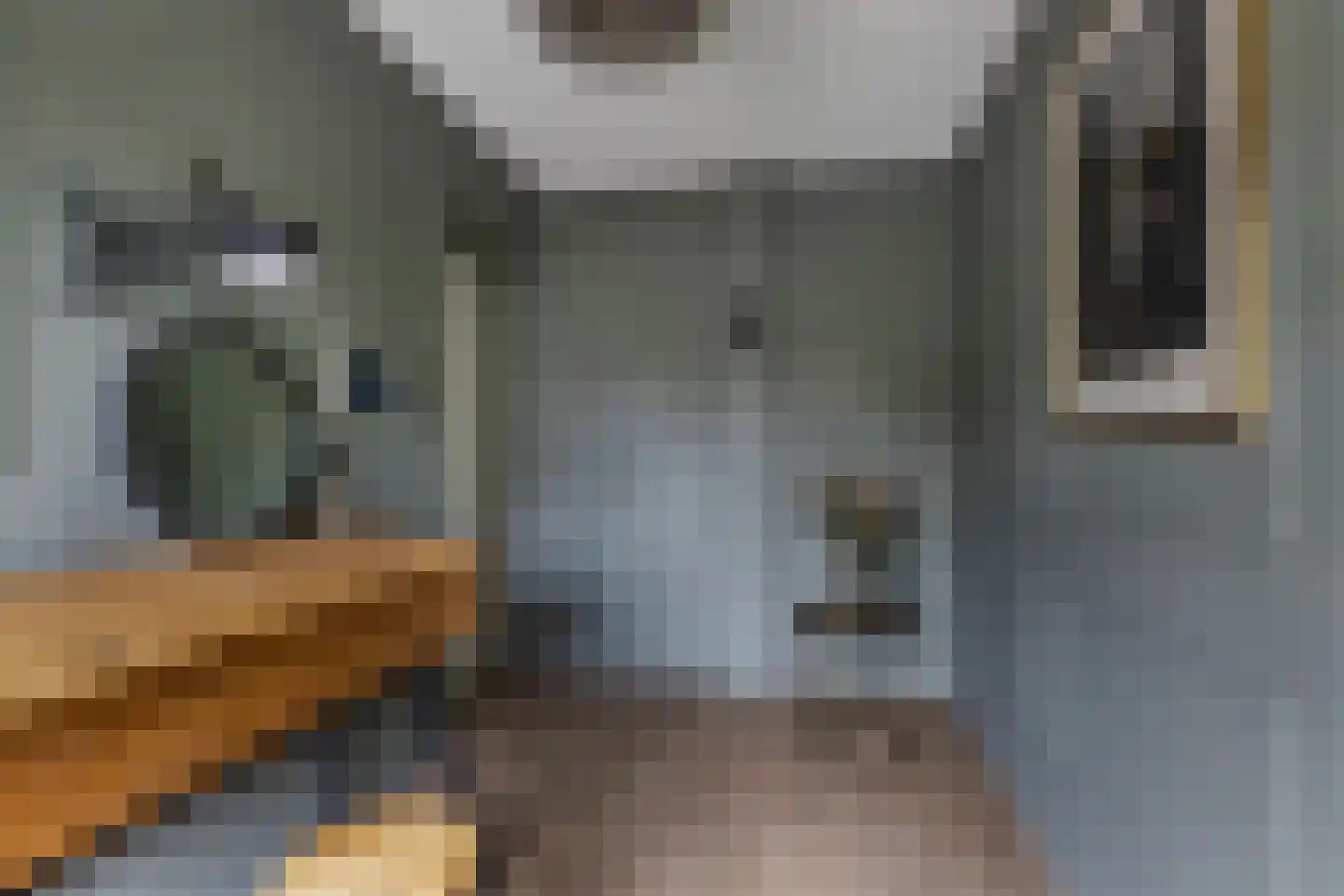 Voorstraat 57 Franeker thumbnail 42