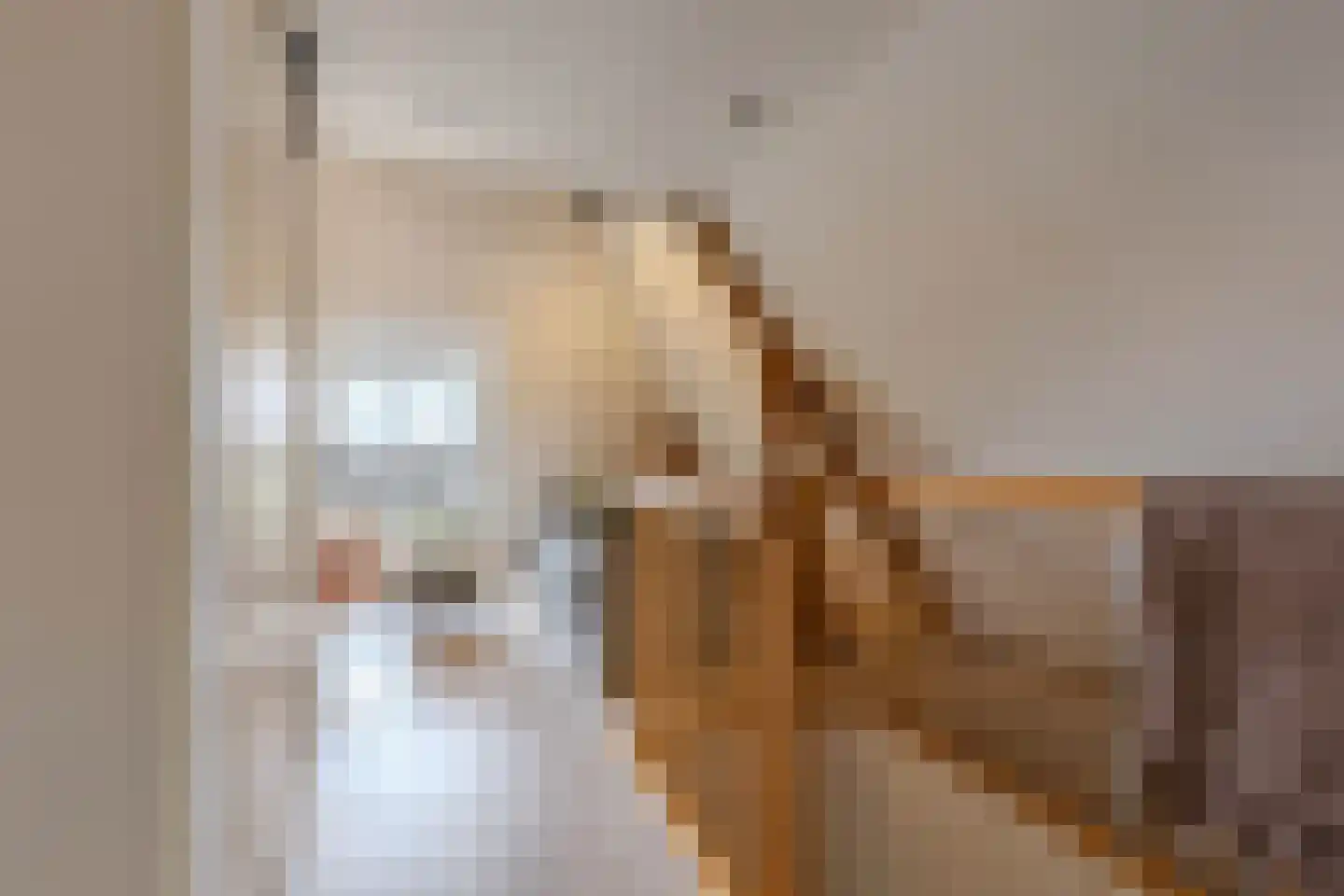 Voorstraat 57 Franeker thumbnail 50