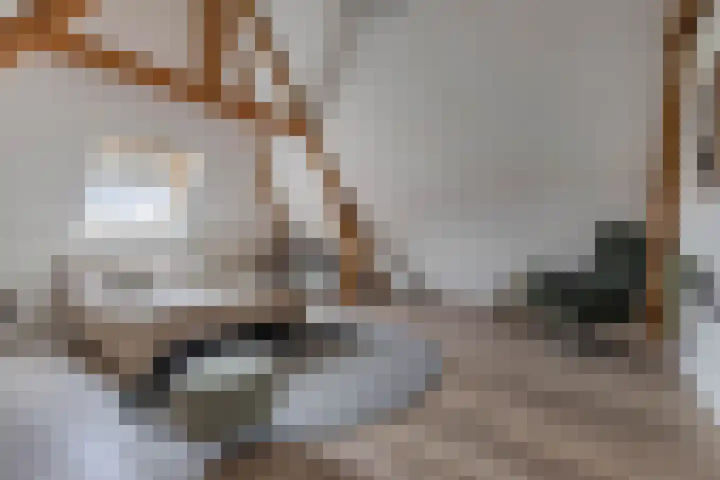 Voorstraat 57 Franeker thumbnail 57