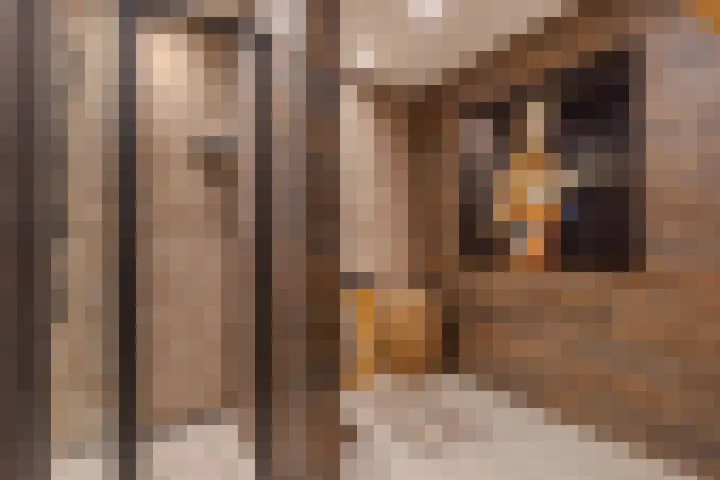 Voorstraat 57 Franeker thumbnail 6