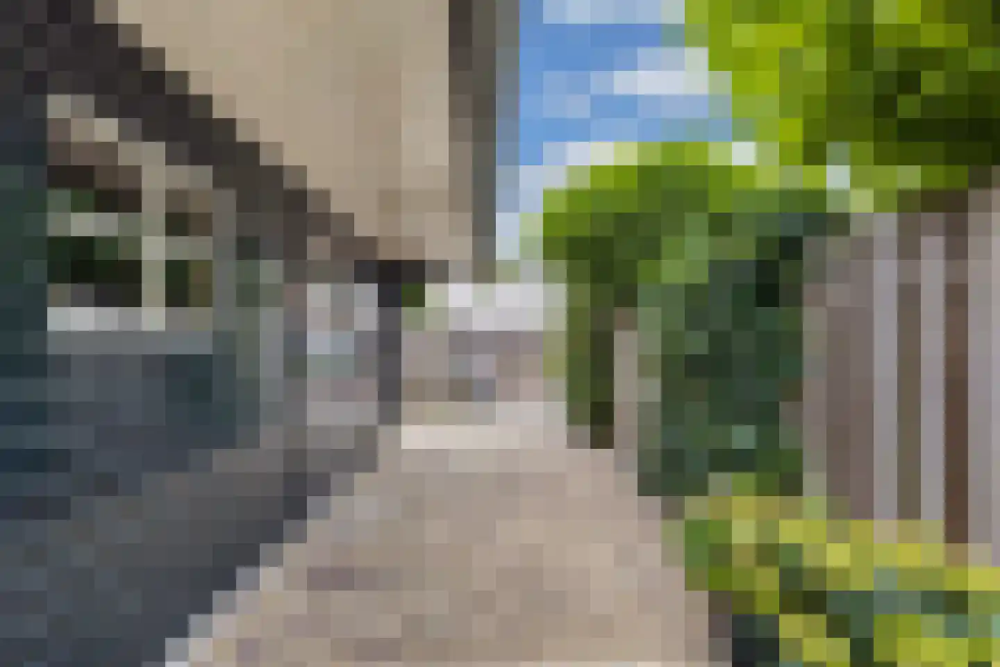 Voorstraat 57 Franeker thumbnail 76