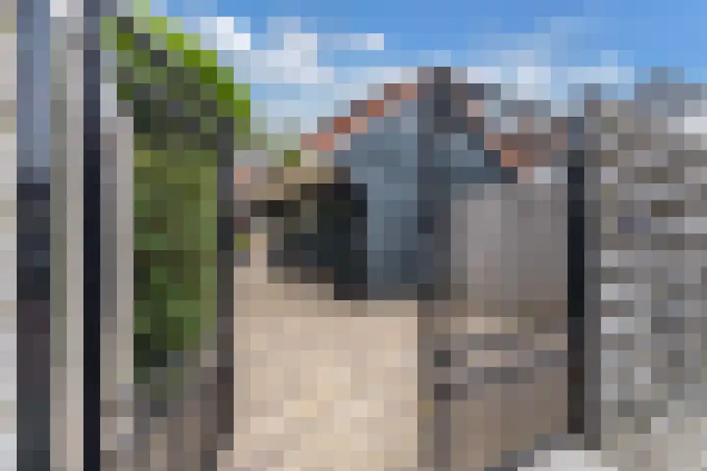 Voorstraat 57 Franeker thumbnail 79