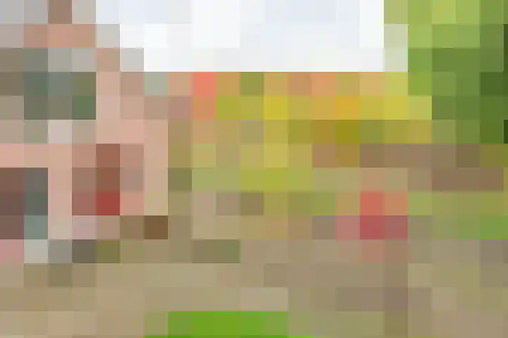 Voorstraat 58 Lienden thumbnail 30