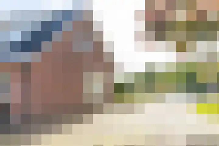 Voorstraat 58 Lienden thumbnail 51