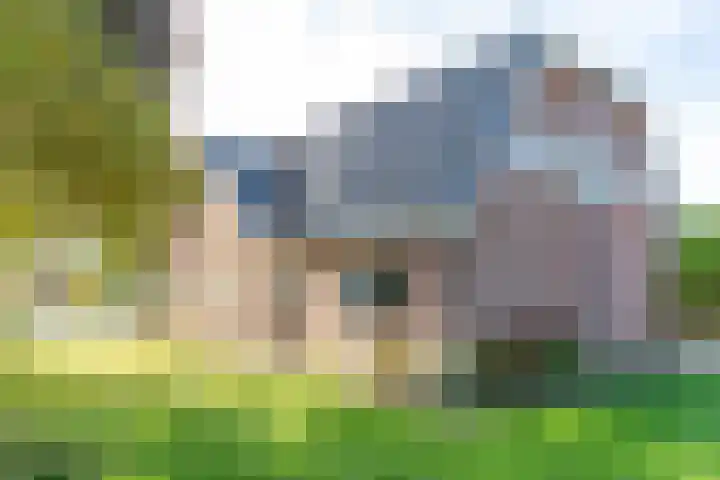 Voorstraat 58 Lienden thumbnail 53