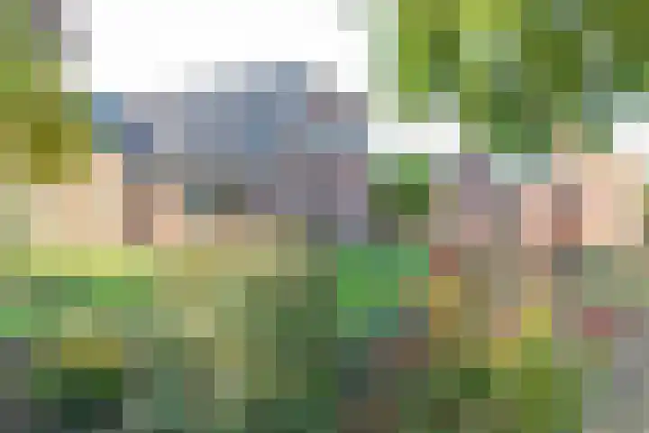 Voorstraat 58 Lienden thumbnail 54