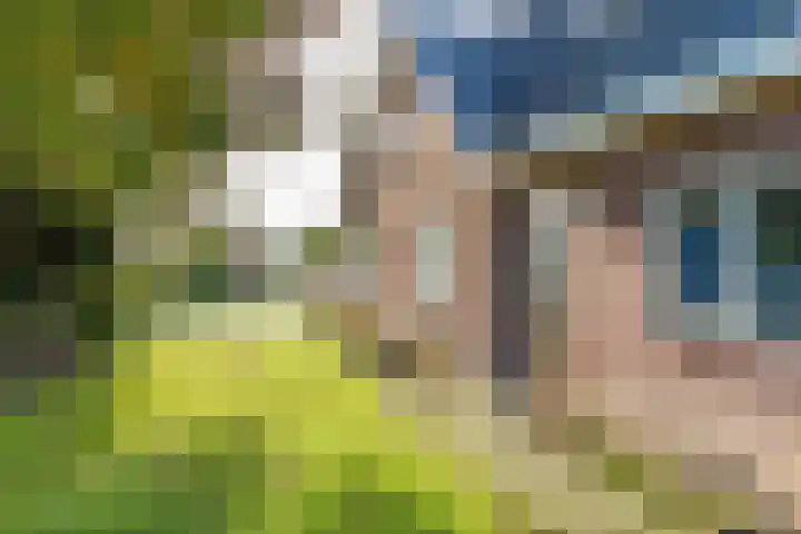 Voorstraat 58 Lienden thumbnail 56
