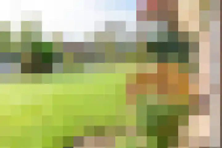 Voorstraat 58 Lienden thumbnail 58