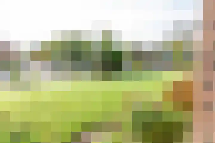 Voorstraat 58 Lienden thumbnail 94