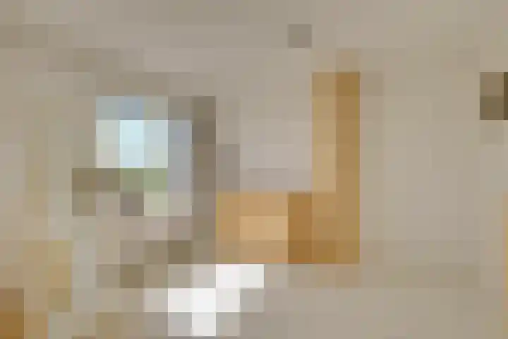 Voorstraat 58 Poeldijk thumbnail 32