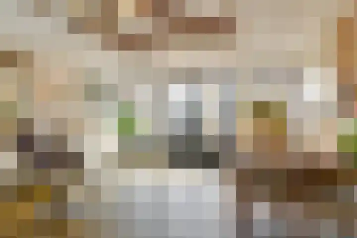 Voorstraat 58 Poeldijk thumbnail 33