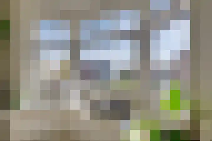 Voorstraat 58 Poeldijk thumbnail 9