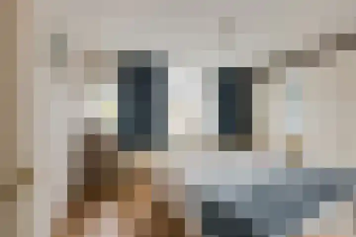 Voorstraat 59 Brielle thumbnail 17