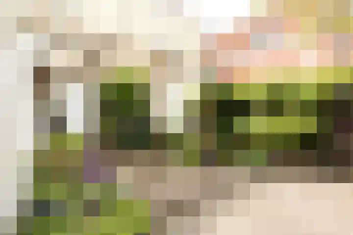 Voorstraat 59 Brielle thumbnail 31