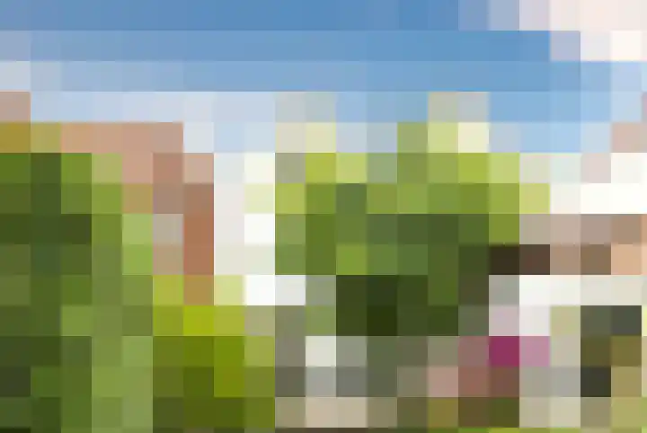Voorstraat 59 Brielle thumbnail 32