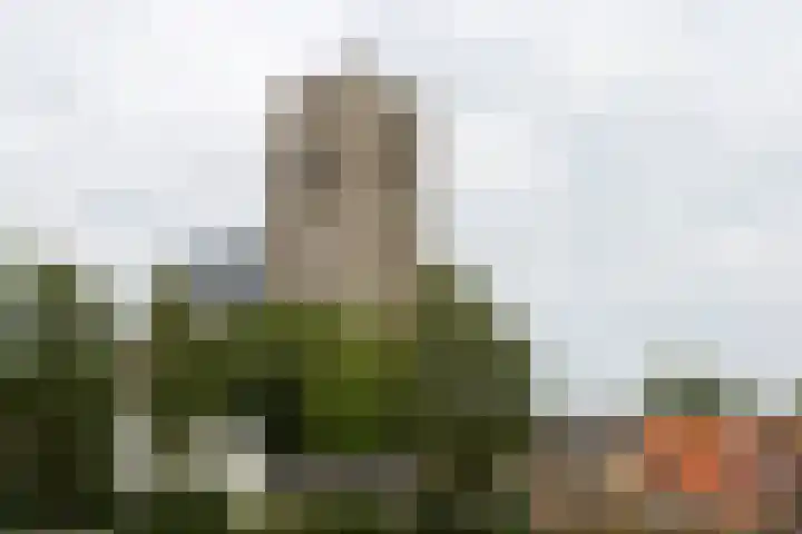 Voorstraat 59 Brielle thumbnail 36