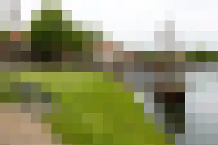 Voorstraat 59 Brielle thumbnail 37