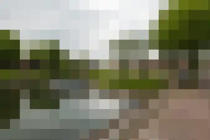 Voorstraat 59 Brielle thumbnail 38