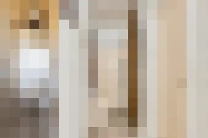 Voorstraat 59 Brielle thumbnail 9