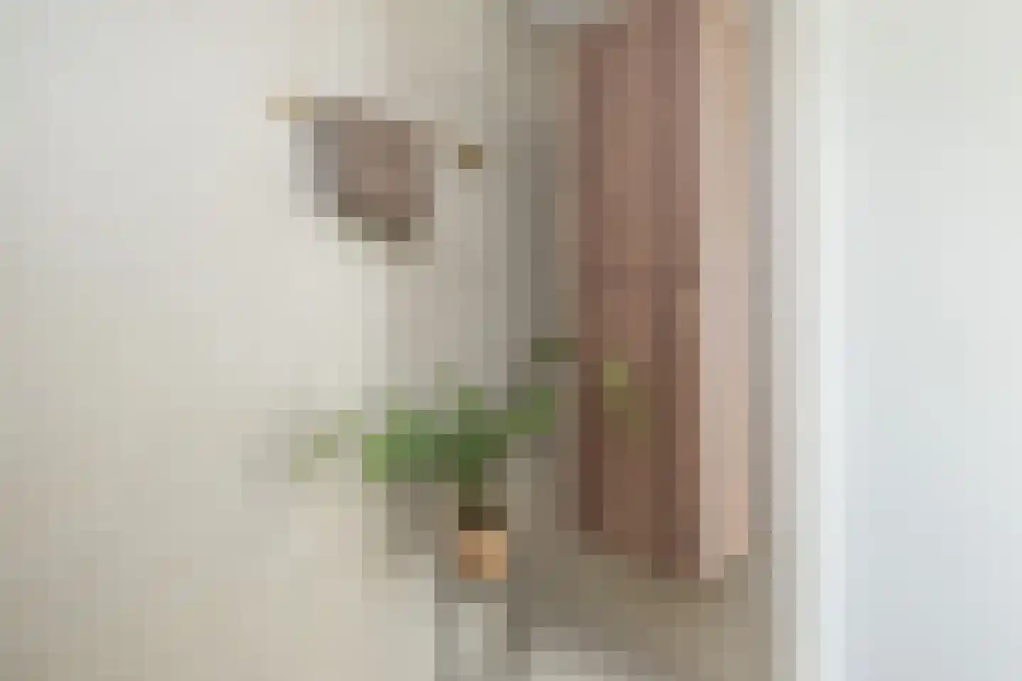 Voorstraat 6 a Den Bommel thumbnail 17