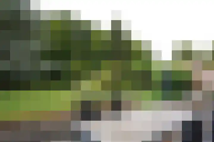 Voorstraat 6 Aardenburg thumbnail 30