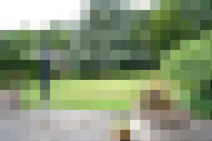 Voorstraat 6 Aardenburg thumbnail 31