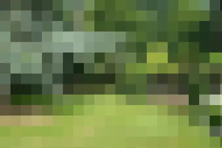 Voorstraat 6 Aardenburg thumbnail 34