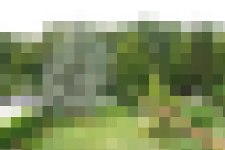 Voorstraat 6 Aardenburg thumbnail 36