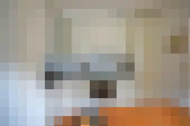Voorstraat 6 Aardenburg thumbnail 9