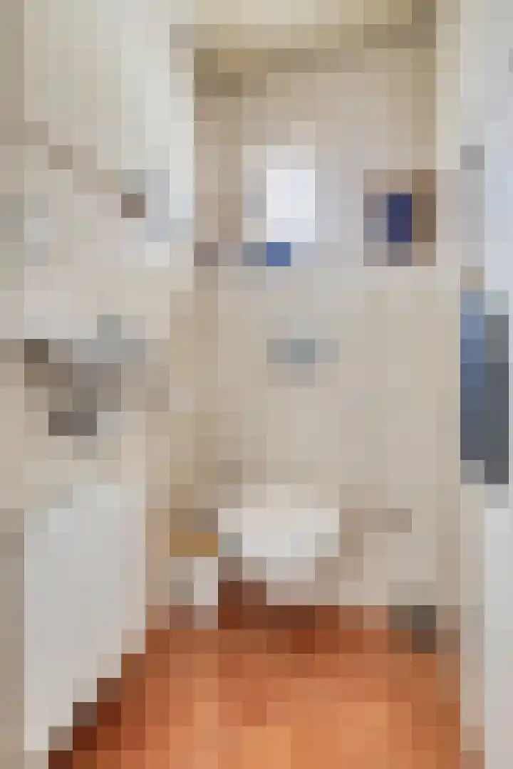 Voorstraat 6 Groede thumbnail 12