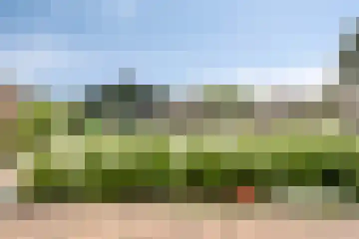 Voorstraat 6 Groede thumbnail 16