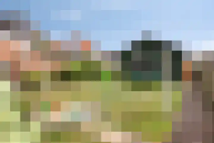 Voorstraat 6 Groede thumbnail 17