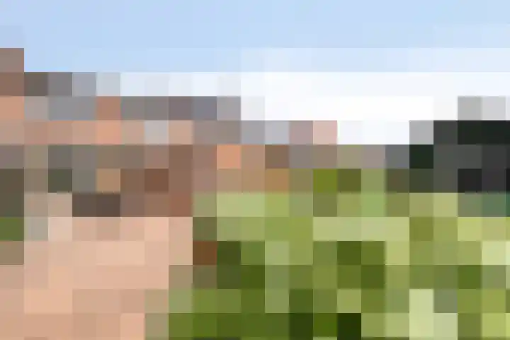Voorstraat 6 Groede thumbnail 19