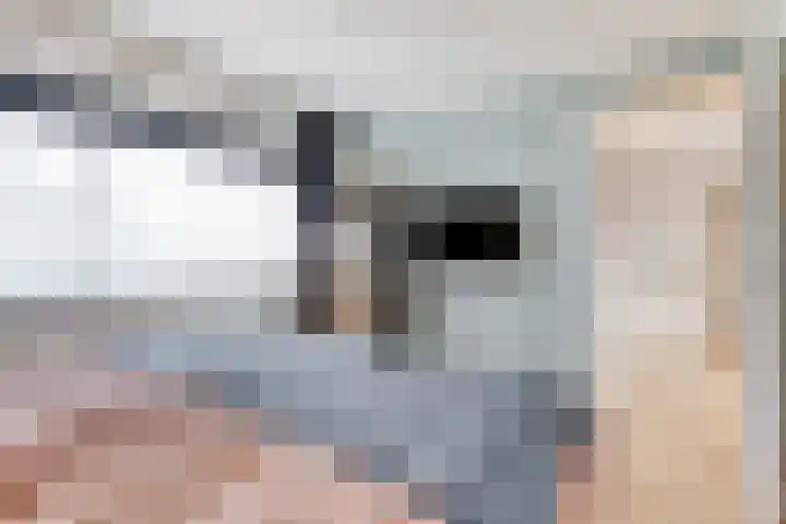 Voorstraat 6 Groede thumbnail 27