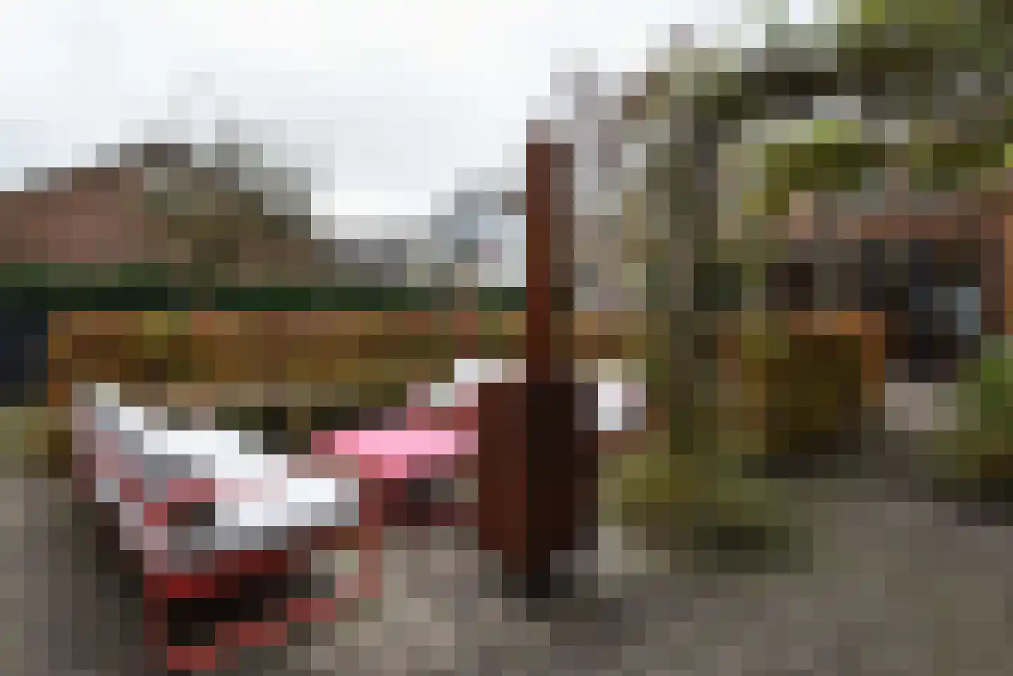 Voorstraat 6 Kockengen thumbnail 37