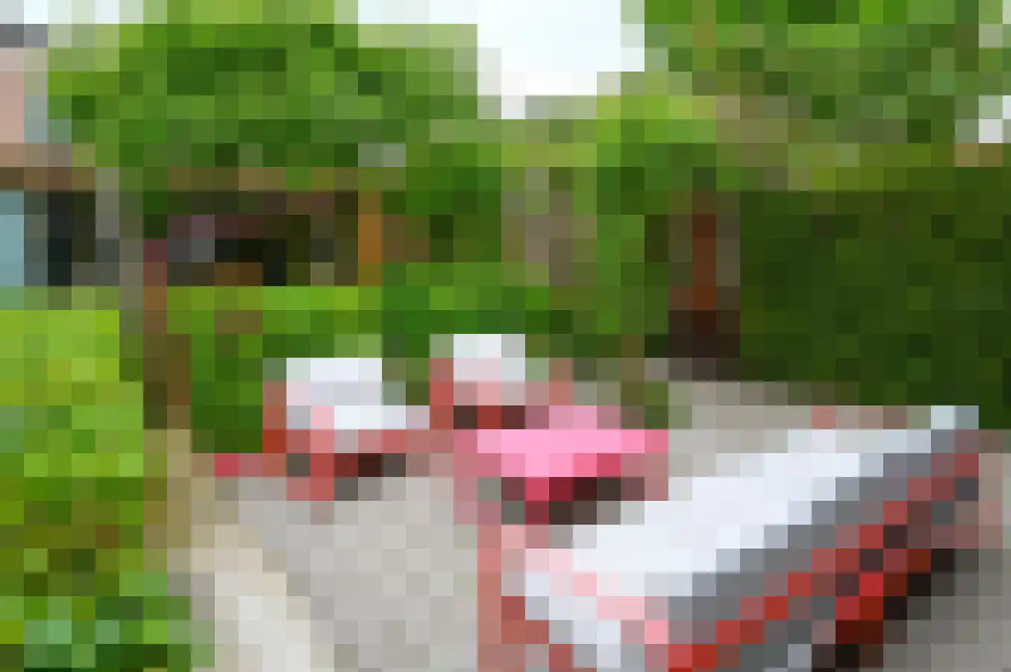 Voorstraat 6 Kockengen thumbnail 38